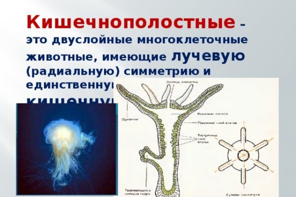 Solaris даркнет