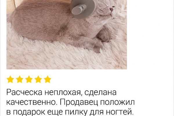 Не могу зайти на сайт кракен