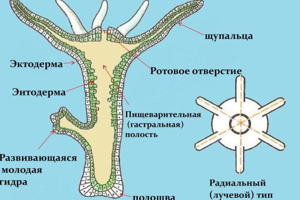 Кракен тор krakendark krakendark link