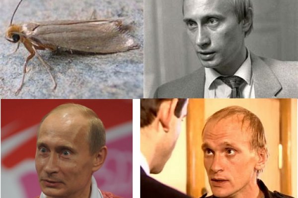 Восстановить аккаунт кракен