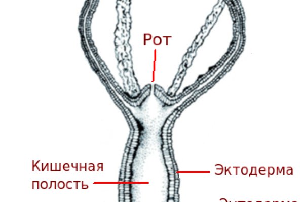 Kraken cc ссылка
