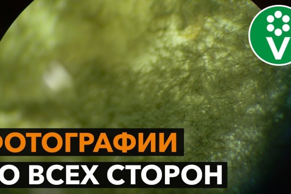 Кракен ссылка стор