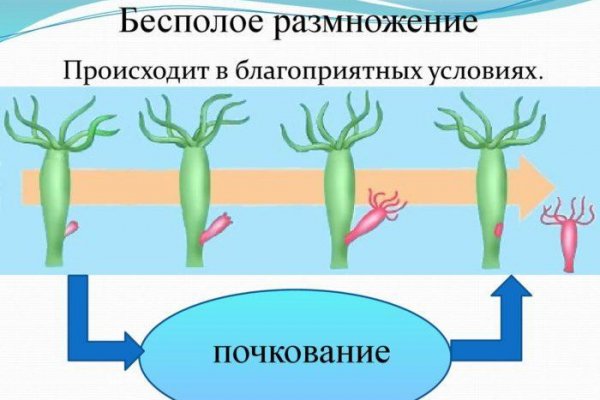 Магазин веществ кракен