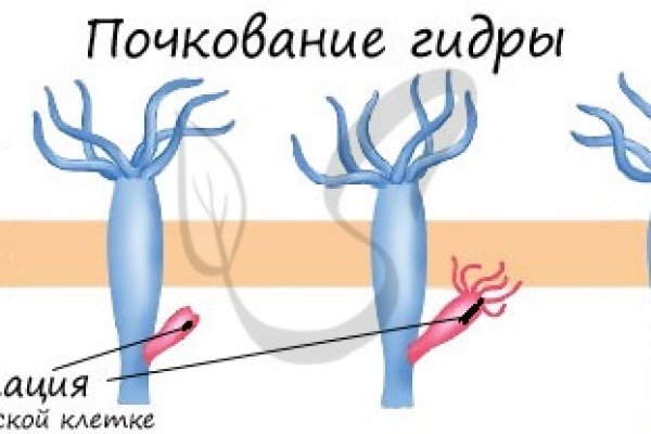 Кракен зон