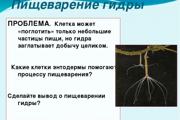 Кракен нар