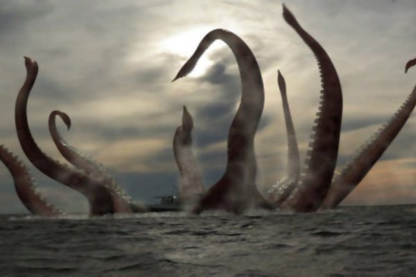 Kraken ссылка актуальная