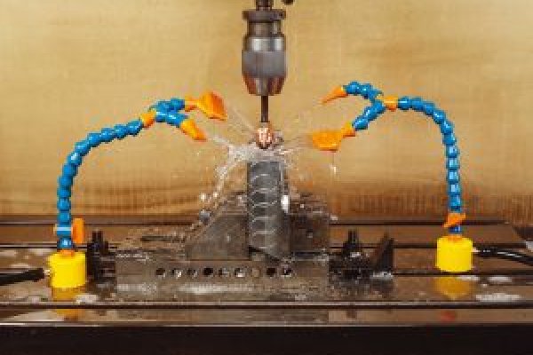 Kraken19at