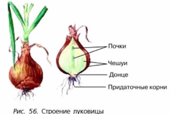 Даркнет официальный сайт вход